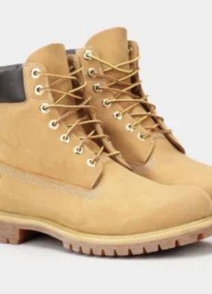 Мужские ботинки timeberland 6 in premium boots