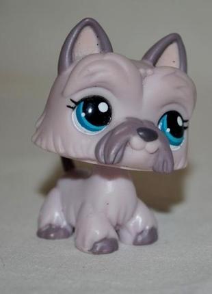 Петс шопы pet shop игрушки зоомагазин littlest pet shop lps стоячка