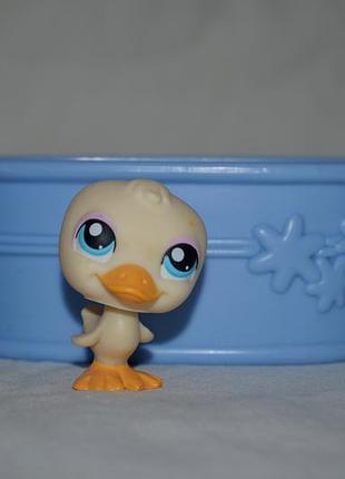 Фирменный набор пет шопы pets shop игрушки зоомагазин littlest pet shop lps различные фигурки
