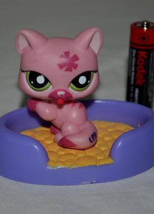 Фірмовий набір пет шопи pets shop іграшки зоомагазин littlest pet shop lps стоячка кішка2 фото