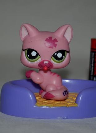 Фірмовий набір пет шопи pets shop іграшки зоомагазин littlest pet shop lps стоячка кішка