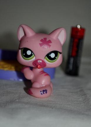 Фірмовий набір пет шопи pets shop іграшки зоомагазин littlest pet shop lps стоячка кішка4 фото