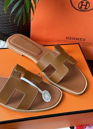 Шльопанці в стилі hermes 25 см та 25,5 см3 фото