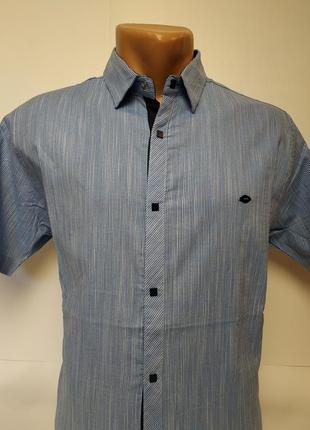 Стильна, легка, приталені сорочка відмінної якості