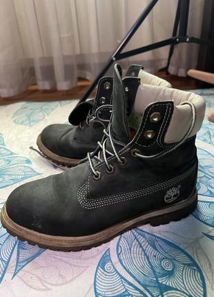 Черевики timberland