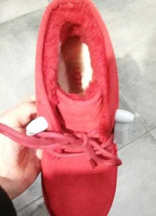 Теплі жіночі черевики уггі ugg australia neumel boot samba red5 фото