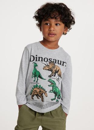 Реглан лонгслів hm для хлопчиків з динозаврами в наявності 🔥