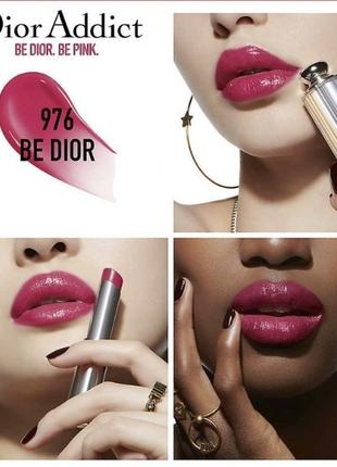 Dior dior addict refill 101 addict be dior lipstick 976 550 dior diorific golden nights 071 glitter rose