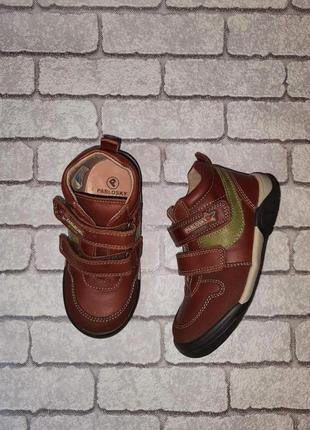 Кожаные ботинки pablosky6 фото