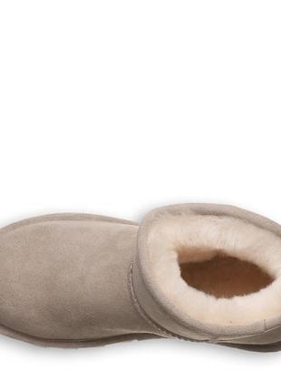 Bearpaw alyssa mushroom зимові черевики уги4 фото