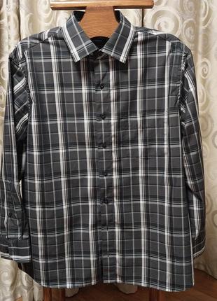 Качественная стильная брендовая рубашка walbusch extraglatt 100% cotton2 фото