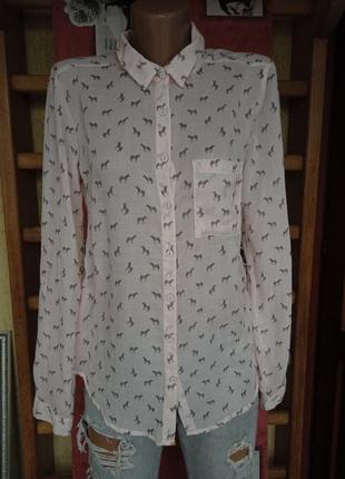 Женская блузка рубашка с принтом зебры