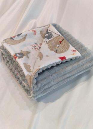 Теплые детские пледы, плюш шарпей на байке (арт.5839)