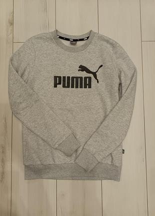 Чудовий світшот , худі puma s оригінал