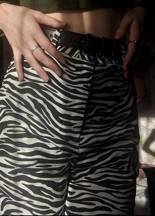Джинси🦓