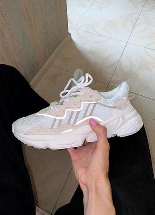 Классные кроссовки adidas ozweego campus beige reflective белые унисекс 36-45 р3 фото