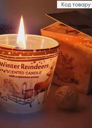 Аромасвечка в стакане winter reindeer with mysterious aroma, let it snow, 115г/30час., свеча польская