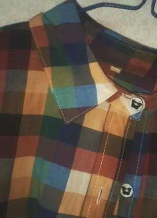 Рубашка в клетку 2