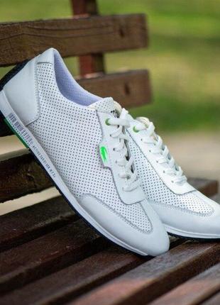 Люкс чоловічі шкіряні білі кеди з перфорацією lacoste 40-45 р-ри