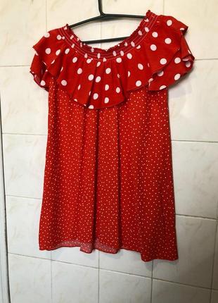 Плаття в горошок zara zara