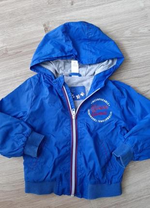 Куртка , ветровка