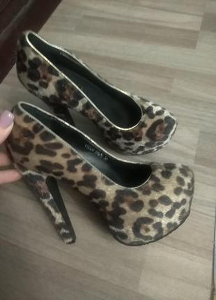Туфлі леопард