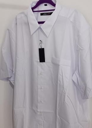 Белая рубашка большого размера с коротким рукавом3 фото