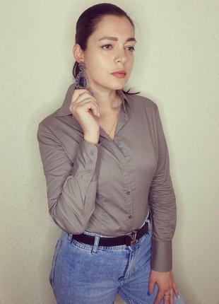 Боди