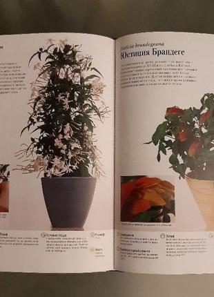 Підлога вільямс ілюстрована енциклопедія кімнатних рослин5 фото