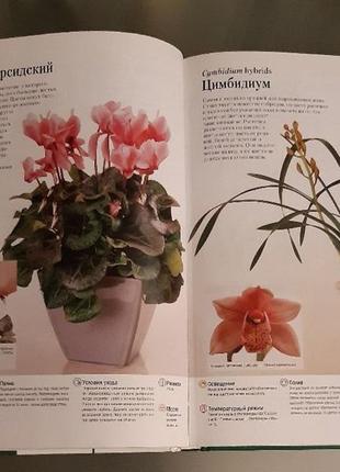Підлога вільямс ілюстрована енциклопедія кімнатних рослин6 фото
