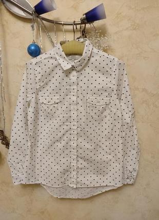 Красивая хлопковая рубашка в горошек