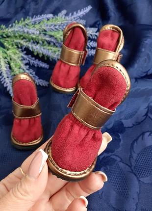 Pet fashion!💕🐕🐈 ботинки кросс утепленные на резиновой подошве на липучке на меху для мелкой собаки кота3 фото