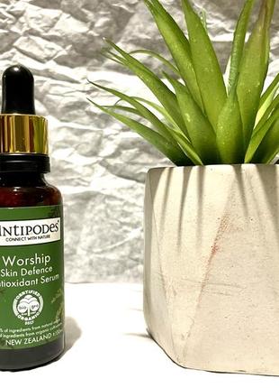 Antipodes worship skin defence antioxidant serum сыворотка для поддержания защиты клеток от оксидативного стресса