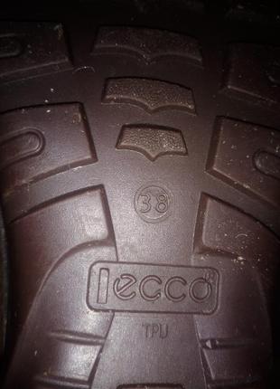 Черевики ecco gore-tex 389 фото