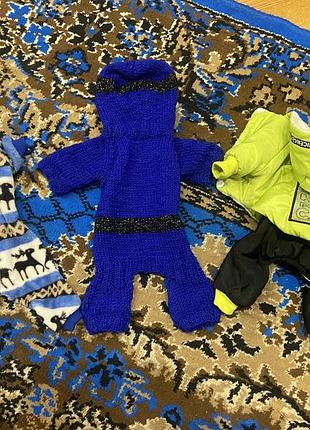 Одежа для маленького песика