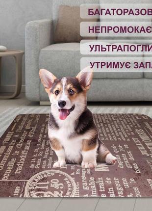 Багаторазова непромокаюча пелюшка 30х40 для собак 4paws газета