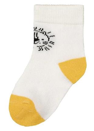 Набір носочків lupilu для хлопчика