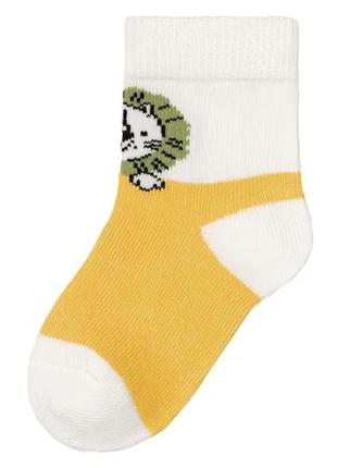 Набір носочків lupilu для хлопчика