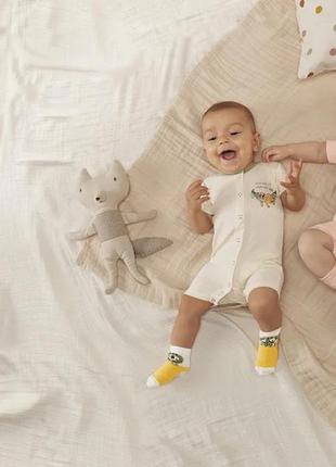 Набір носочків lupilu для хлопчика