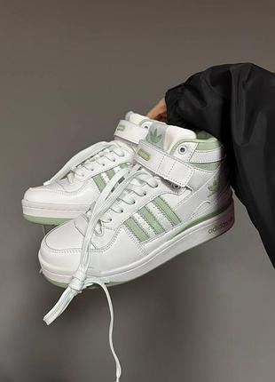 Жіночі зимові кросівки adidas forum winter white olive знижка sale | smb