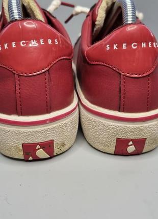 Кроссовки skechers5 фото