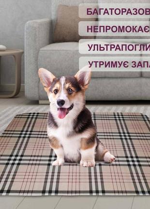 Багаторазова пелюшка 30x40 см для собак 4paws барбері1 фото