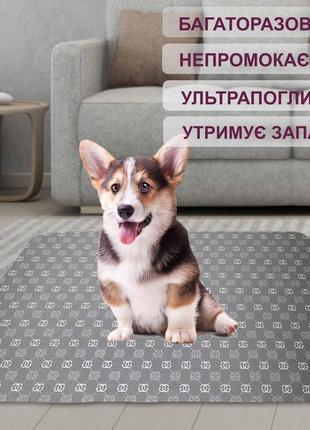 Багаторазова пелюшка для собак 30x40 см 4paws гуччи