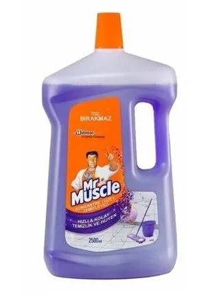 Засіб для миття підголи mr. muscle - 2,5 л.