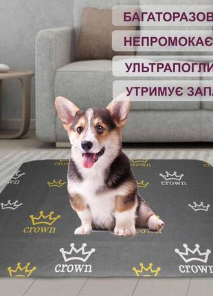 Багаторазова пелюшка 30х30 см для собак 4paws корони