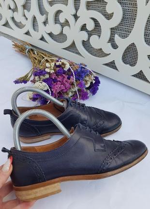 Туфли броги оксфорды viola fonti 36