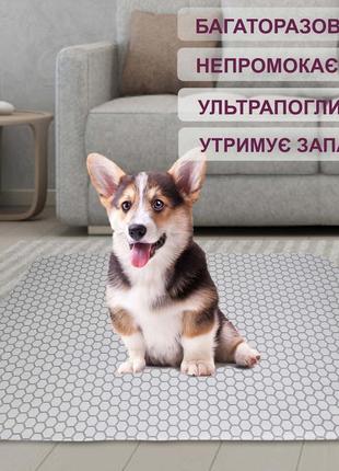 Багаторазова пелюшка 30х30 см для собак 4paws соти