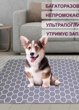 Багаторазова пелюшка 30х30 см для собак 4paws соти