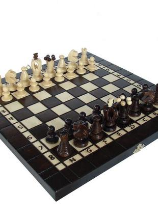Шахи madon набір: шахи, шашки, нарди коричневий, бежевий уні 35х35см арт md143