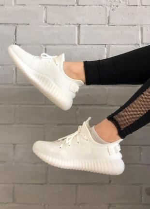 Крутые женские кроссовки adidas yeezy boost 350 белые